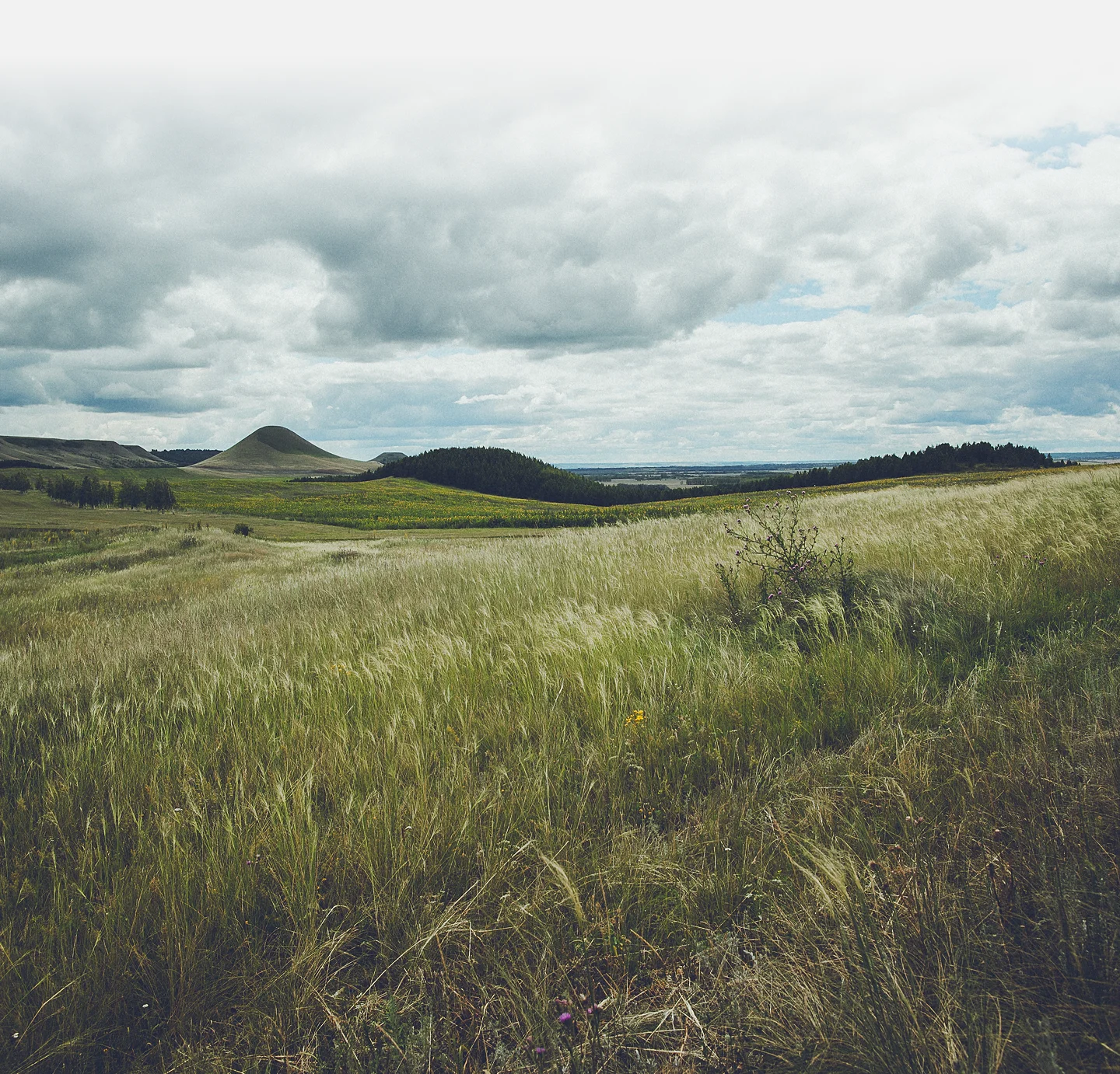 Expansive grassy field with rolling hills and dense cloudy sky in the background.