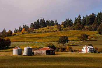 Rural landscape with silos, barn, white house, green fields, and forested hillside under cloudy sky.